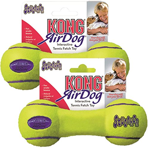 KONG Air Dog Squeaker Dog Toy