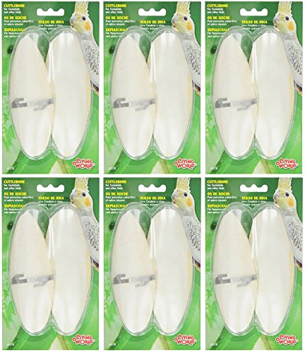(6 Pack) Living World Cuttlebone, Large, 12 Total Cuttlebones