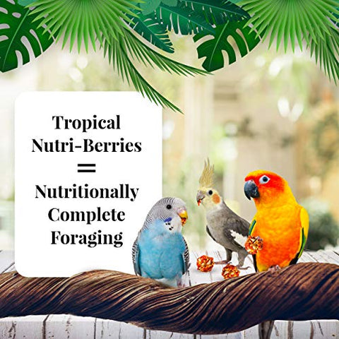 LAFEBER'S Tropical Fruit Nutri-Berries Pet Bird Food, Made with Non-GMO and Human-Grade Ingredients, for Cockatiels Conures Parakeets (Budgies) Lovebirds, 10 oz