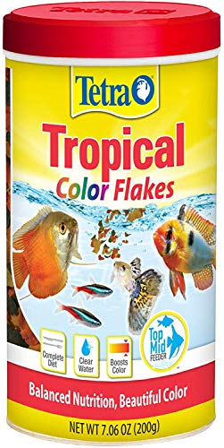 Tetra Color Tropical Flakes with Natural Color Enhancer