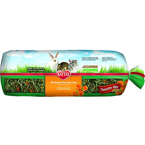 Kaytee Timothy Hay Plus Carrots Pet Treat, 48 oz