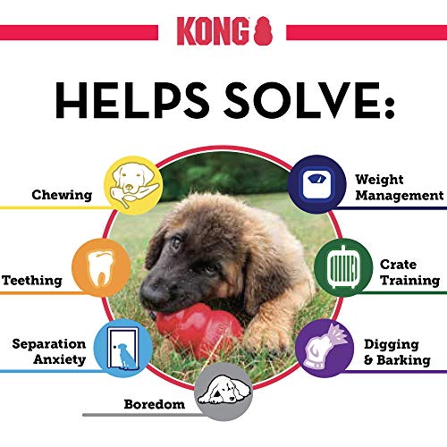 KONG - Classic Dog Toy - Durable Natural Rubber - Fun to Chew, Chase and Fetch - for Small Dogs