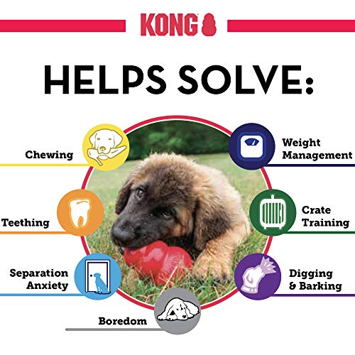 KONG - Puppy Toy - Natural Teething Rubber - Fun to Chew, Chase and Fetch ( Colors May Vary)