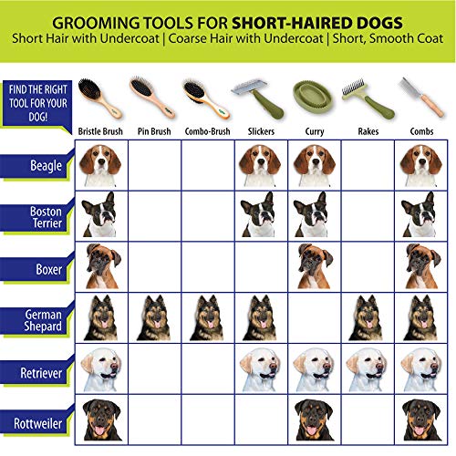 Safari Dog Flea Comb with Double Row of Teeth - 770071