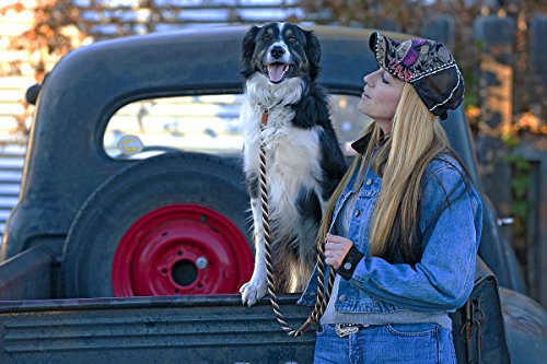 Mendota Pet Dog Slip Lead, 3/8" x 6', Pink Chocolate