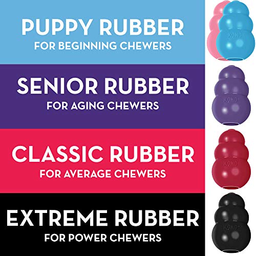 KONG - Puppy Toy - Natural Teething Rubber - Fun to Chew, Chase and Fetch ( Colors May Vary)