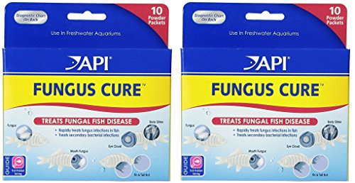 API Fungus Cure Powder 2 Packs of 10