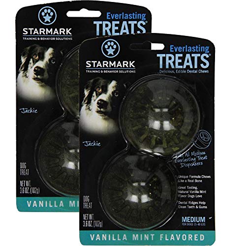 Everlasting Treat Refills, Vanilla Mint, 2 Pack of 2 (4 Treats Total)