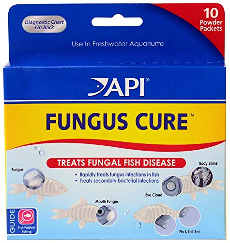 API Fungus Cure Freshwater Fish Powder Medication 10-Count Box