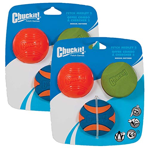 Chuck It Inc. CHUCKIT Fetch Medley 2 Pet Toy Balls, Medium (2 Pack)