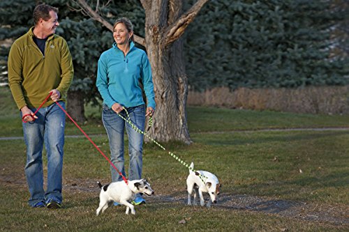 Mendota Pet Dog Slip Lead, 3/8" x 6', Pink Chocolate