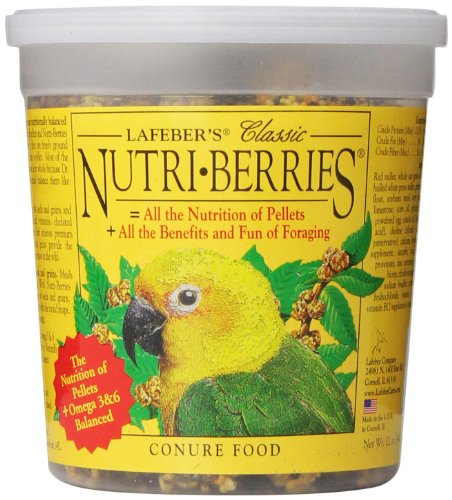Lafeber Company Nutri-Berries Conure Pet Food, 12-Ounce