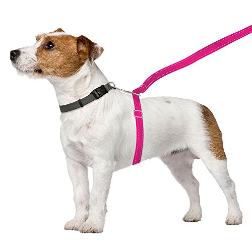 ThunderLeash No-Pull Dog Leash (Large (Over 25 lbs), Pink)