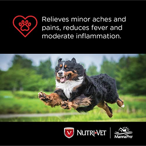 Nutri-Vet Aspirin Chewables for Large Dogs, 75 Count - Pack of 2