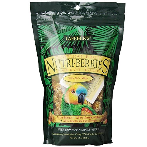 LafeberÂs Gourmet Tropical Fruit Nutri-Berries for Parrots 10 oz. Bag