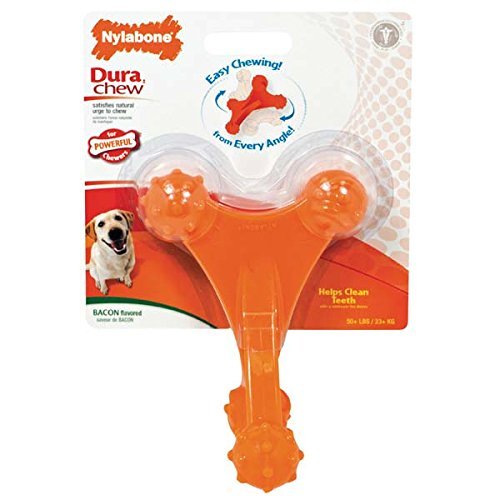 Nylabone Dura Chew Axis Bone Dog Chew Toy (2 Pack)