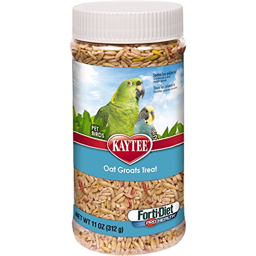 Kaytee Forti-Diet Pro Health Oat Groats Bird Treat, 22 oz