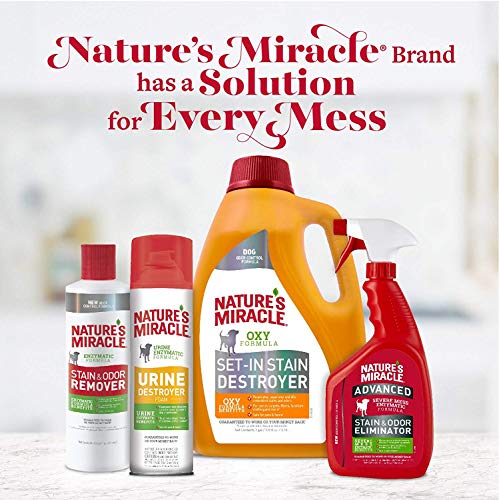 Nature's Miracle Advance Cat Stain and Odor Eliminator