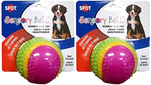 Spot Sensory Rubber Sented Ball Dog Toy Size:3.25" Pack of 2