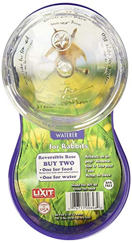 Lixit Feeder/Waterer for Rabbits, 48 Ounce