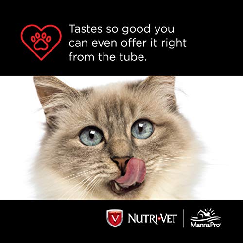 Nutri-Vet Feline Paw Ge l Formulated with Herbs & Essential Oils | 3 Ounces