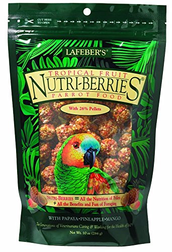 LafeberÂs Gourmet Tropical Fruit Nutri-Berries for Parrots 10 oz. Bag