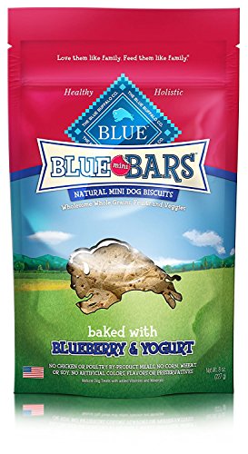 (2 Pack) Blue Bars Mini Blueberry and Yogurt