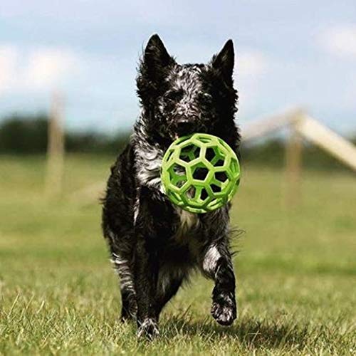 JW Hol-ee Roller Original Treat Dispensing Dog Ball - Hard Natural Rubber - Assorted Colors