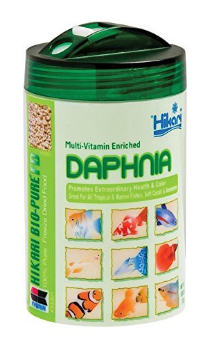 Hikari Bio-Pure Freeze Dried Daphnia for Pets, 0.42-Ounce (2-Pack)