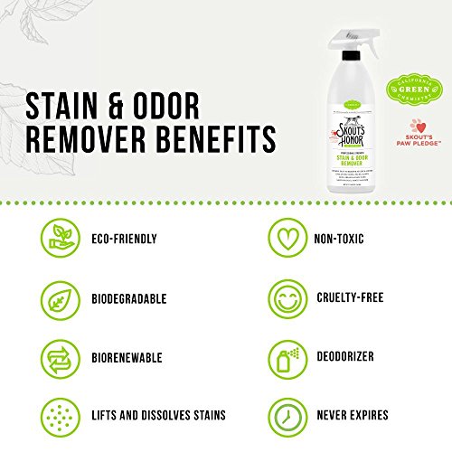 SkoutÂs Honor Professional Strength Stain & Odor Remover