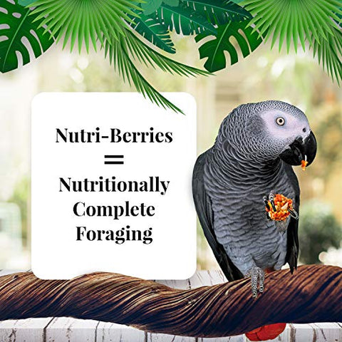 LAFEBER'S Nutri-Berries Pet Bird Food Bundle with Tropical Fruit, El Paso, Sunny Orchard, and Garden Veggie for Parrots, 10 oz Each (4 Items)