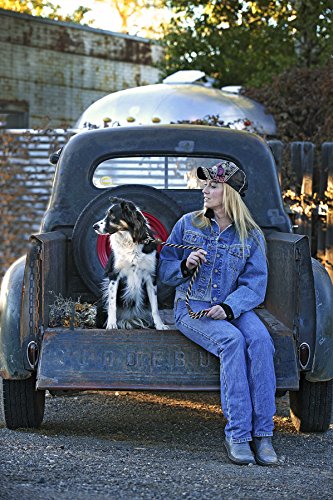 Mendota Pet Dog Slip Lead, 3/8" x 4', Woodlands