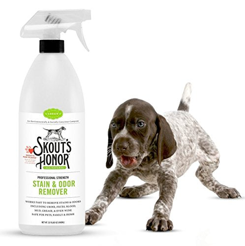 SkoutÂs Honor Professional Strength Stain & Odor Remover