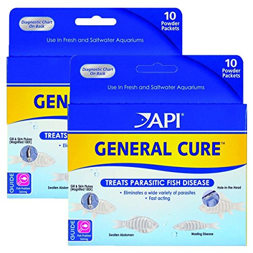 API Powder General Cure 20 pack