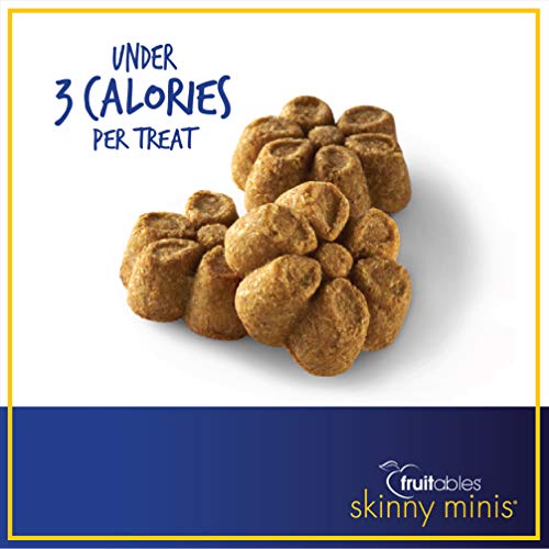 Fruitables Skinny Minis Pumpkin & Berry Low Calorie Soft & Chewy Dog Treats, Pack of 6