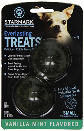 Everlasting Treat For Dogs, Vanilla Mint, Small
