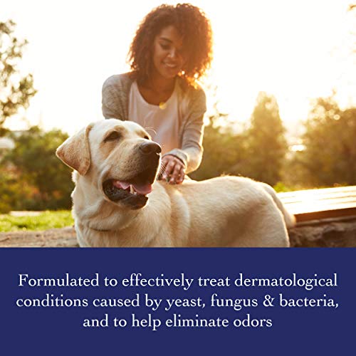 RichardÂs Organics Anti-Bacterial Shampoo for Dogs Â Formulated with Tea Tree Oil and Neem Oil - 100% Natural Active Ingredients Shampoo to Treat Fungal, Bacterial and Yeast Skin Infections in Dogs (12 oz.)