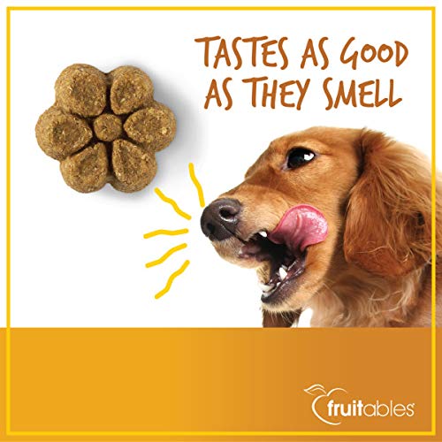 Fruitables 7 Ounce Crunchy Baked Dog Treats Pumpkin & Banana Flavor Pack of 6