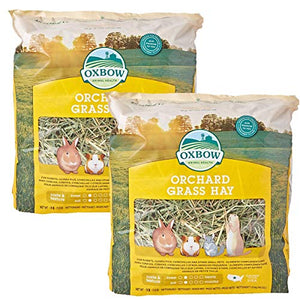 Oxbow Animal Health Orchard Grass Hay for Pets, 40-Ounce (2 Pack)