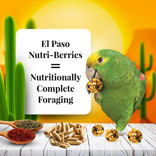 LAFEBER'S El Paso Nutri-Berries Pet Bird Food, Made with Non-GMO and Human-Grade Ingredients, for Parrots, 10 oz