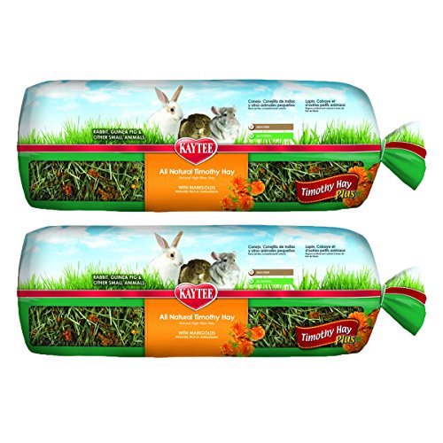 Kaytee Timothy Hay Plus Carrots Pet Treat, 48 oz