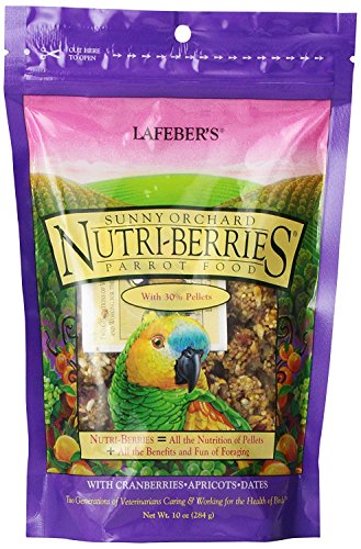 Lafeber's Gourmet Sunny Orchard Nutri-Berries for Parrots 10 oz bag (2 Pack)