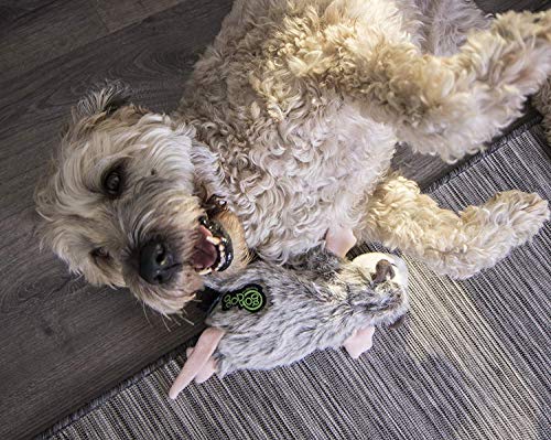 goDog Flatz Dog Toy with Chew Guard