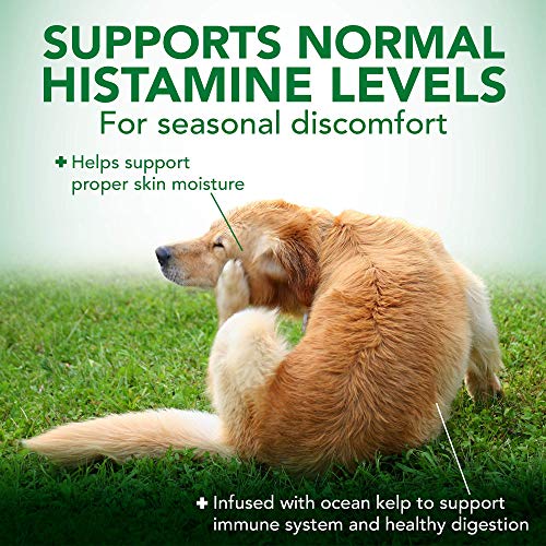 Vet's Best Seasonal Allergy Soft Chew Dog Supplements | Soothes Dogs Skin Irritation Due to Seasonal Allergies | Maintain Histamine Levels | 50 Chewable Tablets (2 Pack)