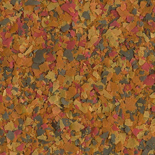 Tetra Color Tropical Flakes with Natural Color Enhancer