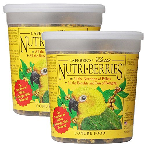 LAFEBER'S Company Nutri-Berries Conure Pet Food