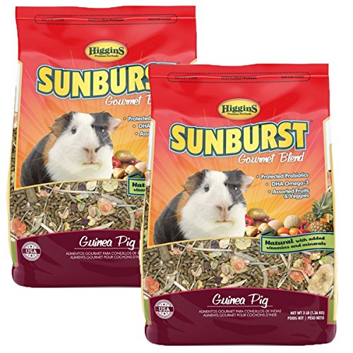 Higgins Sunburst Gourmet Food Mix for Guinea Pigs, 6 Pound