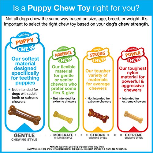 Nylabone Just for Puppies Regular Bacon Flavored Double Action Bone Puppy Dog Teething Chew Toy
