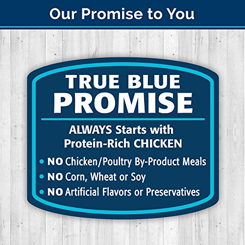 Blue Bites Chicken Recipe Dog Treats 6-Oz