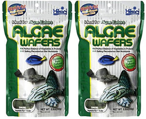 Hikari algae store wafers 8.8 oz